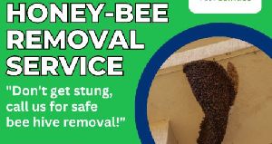 Honey Bee Removal Service