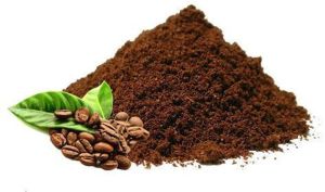 Coffee Extract