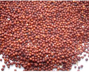 Red Millet