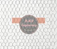 Chicken Wire Mesh