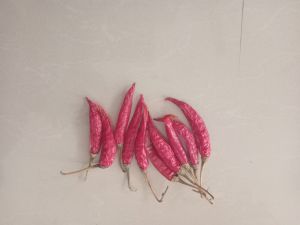 Dry Red Chilli