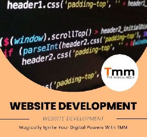 Website Designing & Development