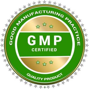 GMP Certification Services