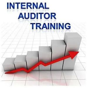 Internal Auditor Training Program