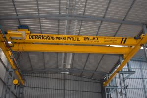 Double Girder Eot Cranes