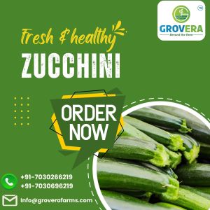 Green Zucchini