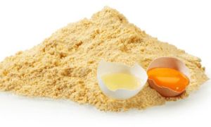 Egg Powder