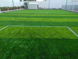 Artificial Grass Lawn