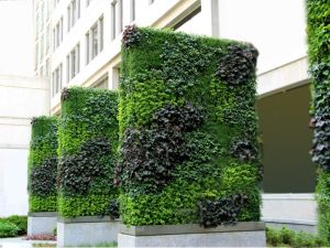 Artificial Outdoor Vertical Garden