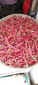 Dried Red Chili