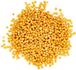 Yellow Mustard Seeds