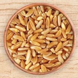 Durum Wheat Grains