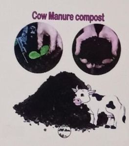 Cow Dung