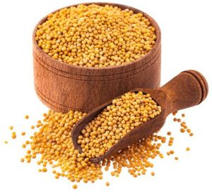 Yellow Mustard Seeds