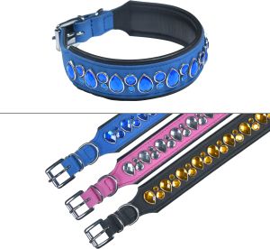 dog training collars