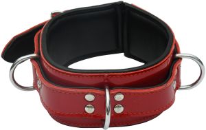 leather bondage collar