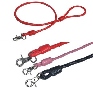 Leather Dog Leashes