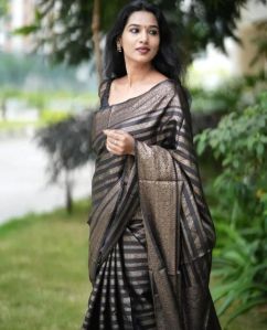 Banarasi Dyeable Warm Silk Saree