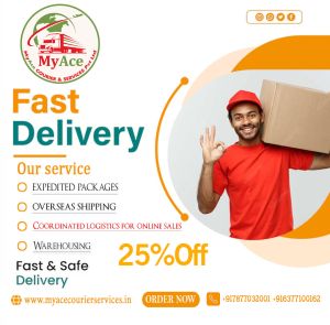 domestic courier