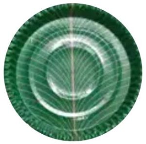Banana Leaf Plate