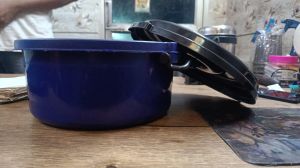 Plastic Casserole