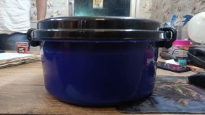 Plastic Casserole