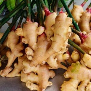 Fresh Ginger