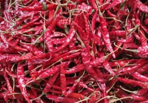 Dehydrated Red Chilli