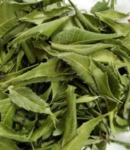 Dehydrated Neem Leaves