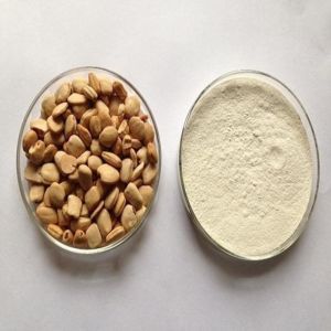 Dehydrated Tamarind Seed Powder