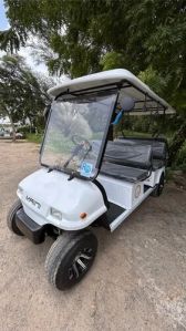 Electric Golf Cart Buggy Rental Services