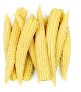 Fresh Baby Corn