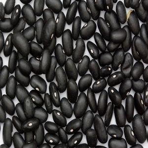 Kidney Beans