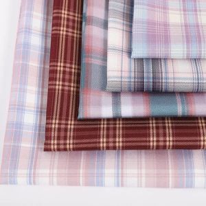 Valji Checked Shirting Fabric