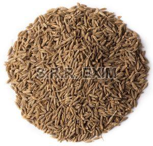 Dried Cumin Seeds