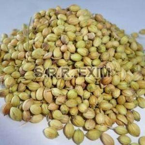 Coriander Seeds