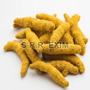 Dried Turmeric Finger