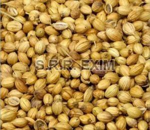 Whole Dry Coriander Seeds