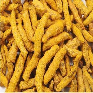 double polished turmeric finger