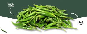 Fresh Green Chilli