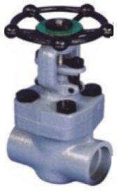 Bolted Bonnet Forged Gate Valve