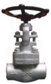 Bolted Bonnet Forged Globe Valve