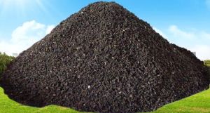 VEM 4001 Vermicompost Fertilizer