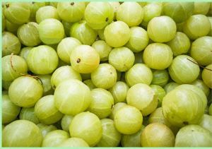 Amla