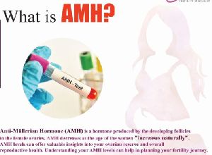 What is AMH? Best IVF Specialist in Bhubaneswar