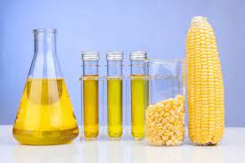 Corn oil PREMIUM QUALITY