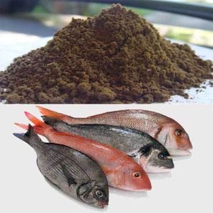 Fish Meal