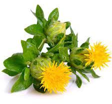 Safflower oil PREMIUM QUALITY