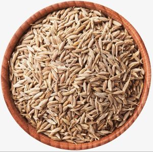 Cumin Seeds