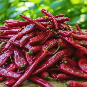 Kashmiri Red Chilli